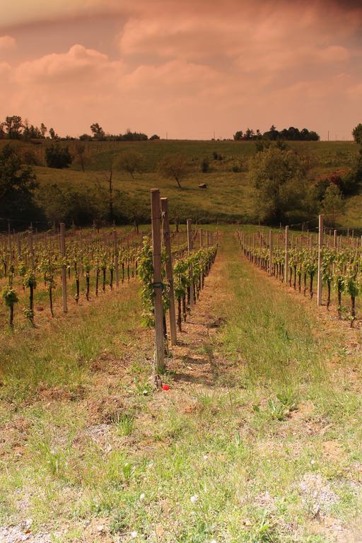 Agriturismo Le Casette Кастелветро ди Модена Екстериор снимка