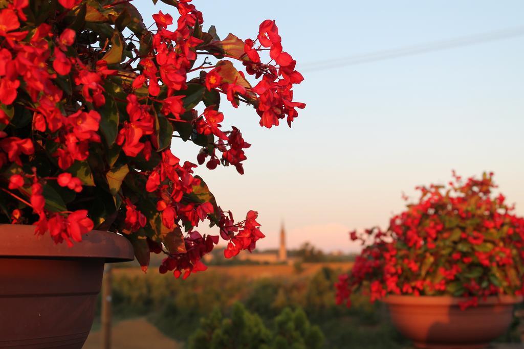Agriturismo Le Casette Кастелветро ди Модена Екстериор снимка