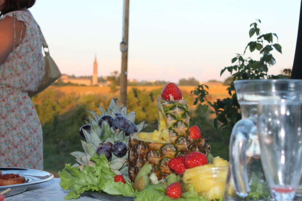 Agriturismo Le Casette Кастелветро ди Модена Екстериор снимка